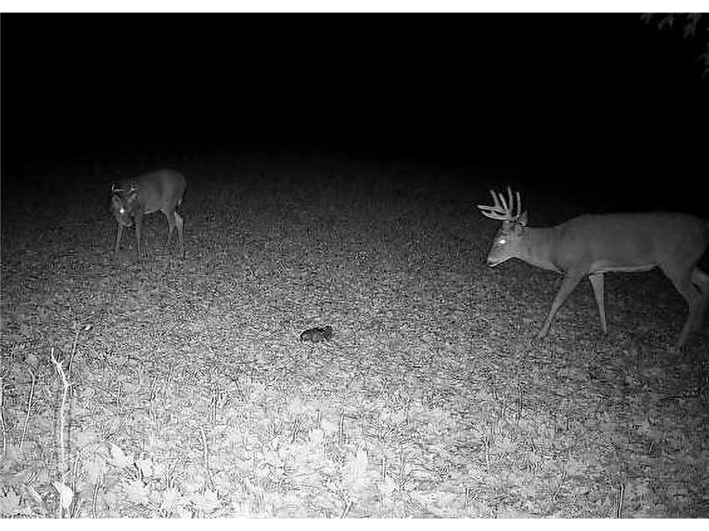 30871 Sunset Rd Detroit Lakes MN 56501 - Sand Lake 6807188 image59