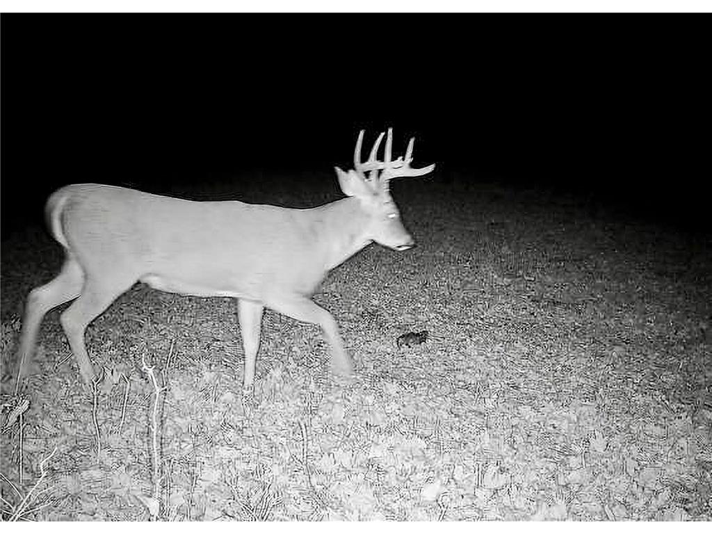 30871 Sunset Rd Detroit Lakes MN 56501 - Sand Lake 6807188 image60