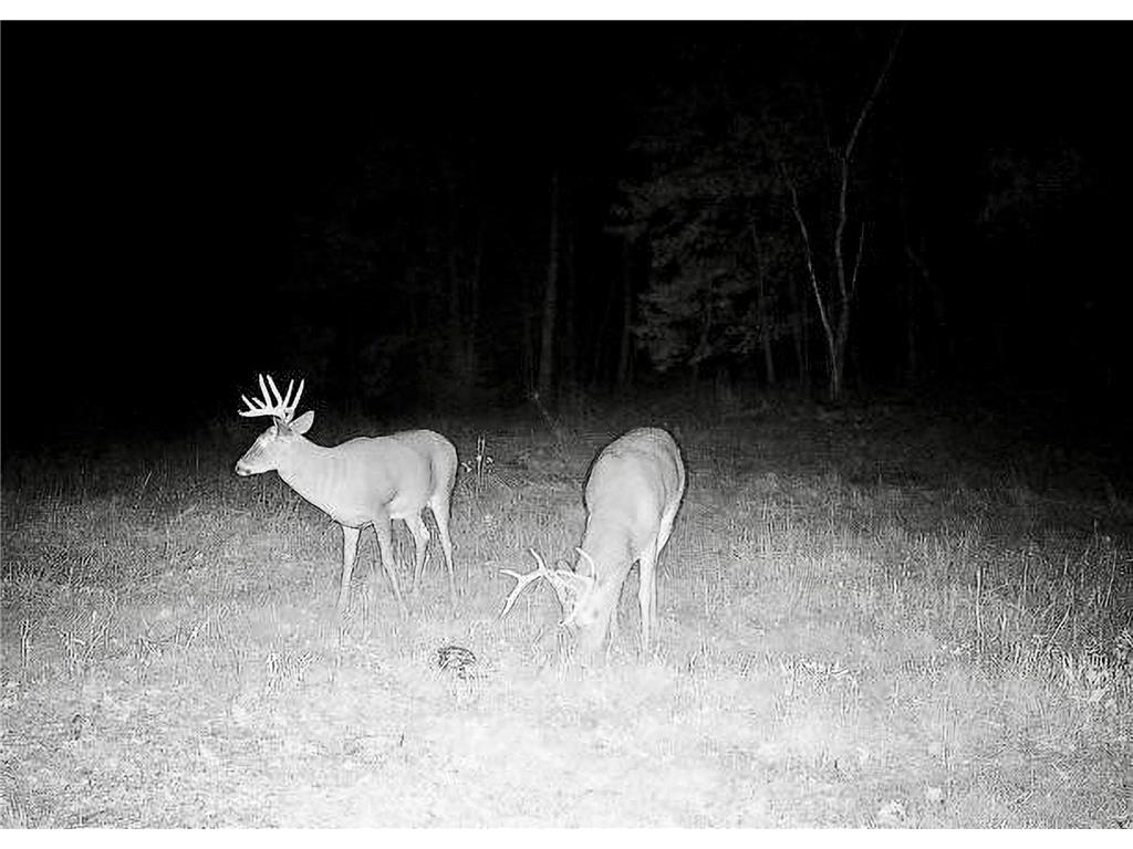 30871 Sunset Rd Detroit Lakes MN 56501 - Sand Lake 6807188 image61