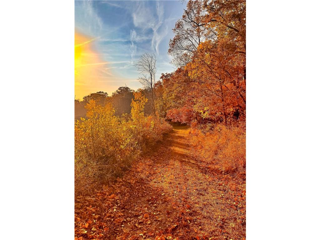 30871 Sunset Rd Detroit Lakes MN 56501 - Sand Lake 6807188 image66