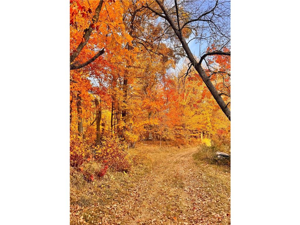 30871 Sunset Rd Detroit Lakes MN 56501 - Sand Lake 6807188 image67