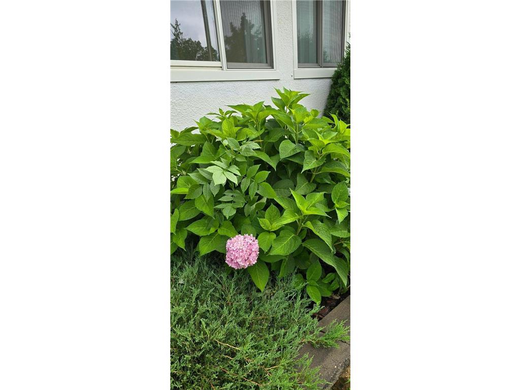 309 5th Street SW Austin MN 55912 6749197 image76