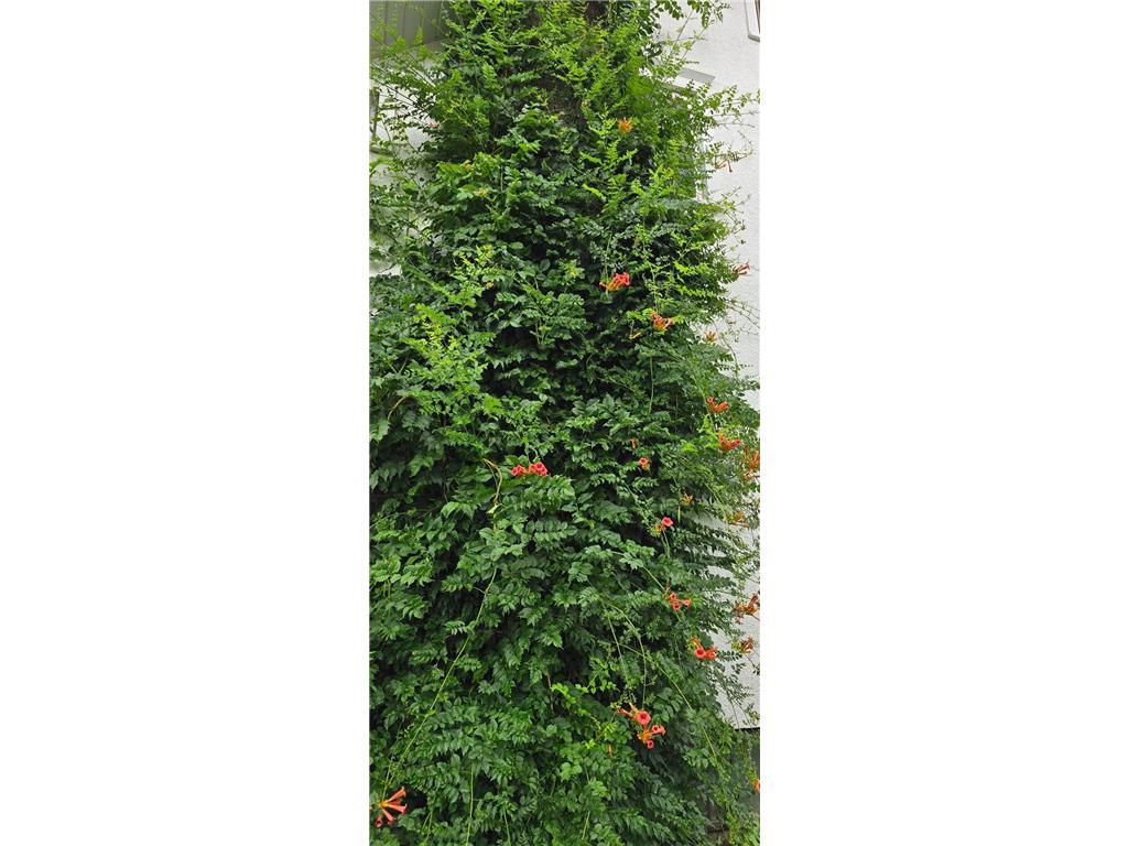 309 5th Street SW Austin MN 55912 6749197 image77