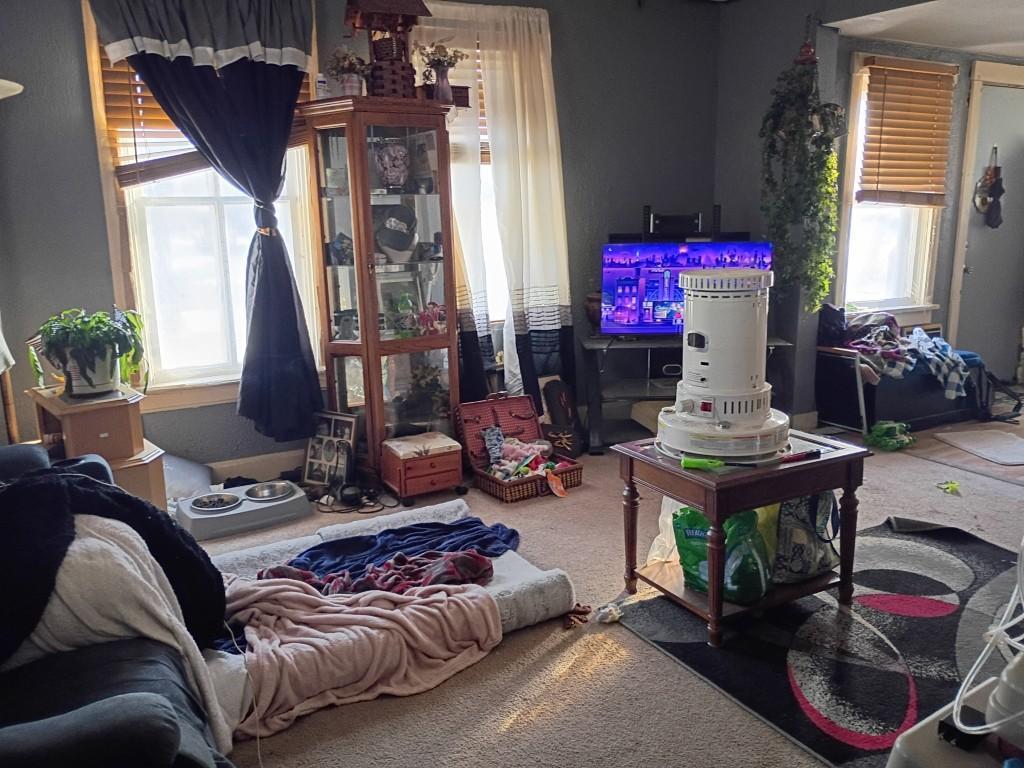 309 Bush Street Lakefield MN 56150 7002655 image4