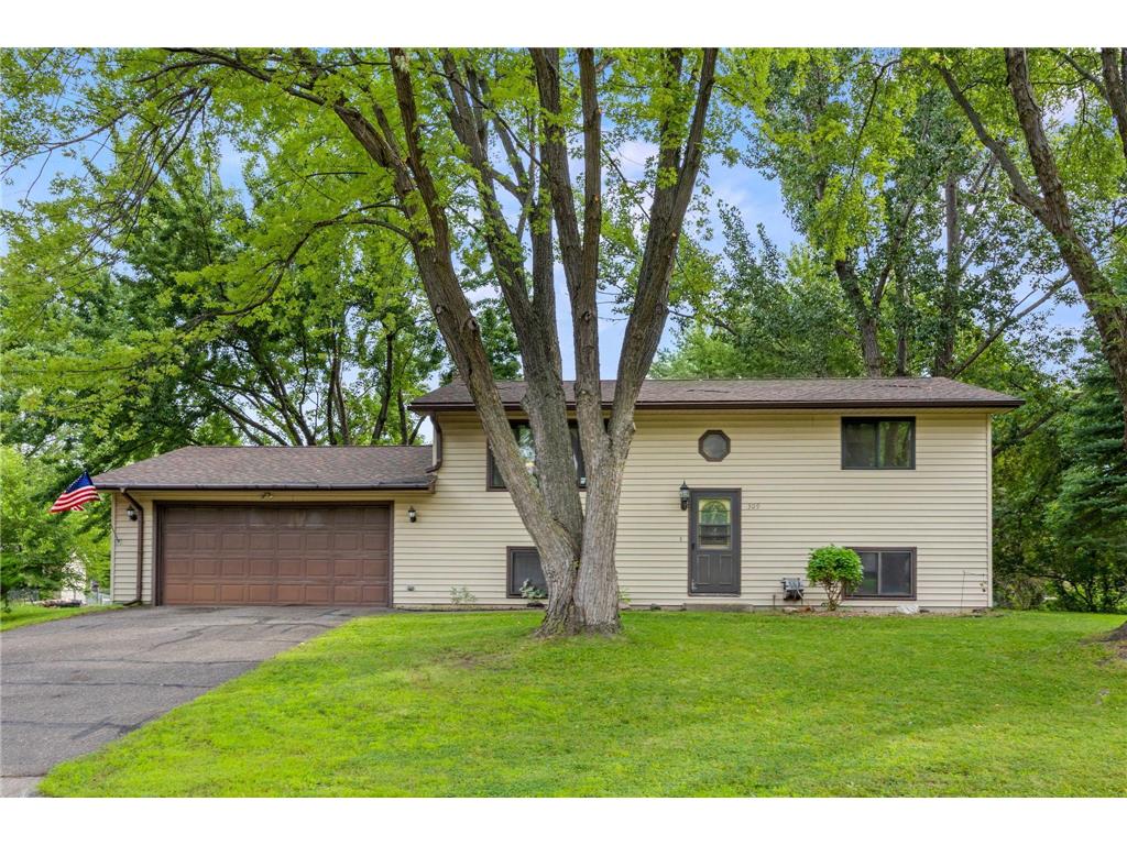 309 Leksand Lane Buffalo MN 55313 6785524 image1