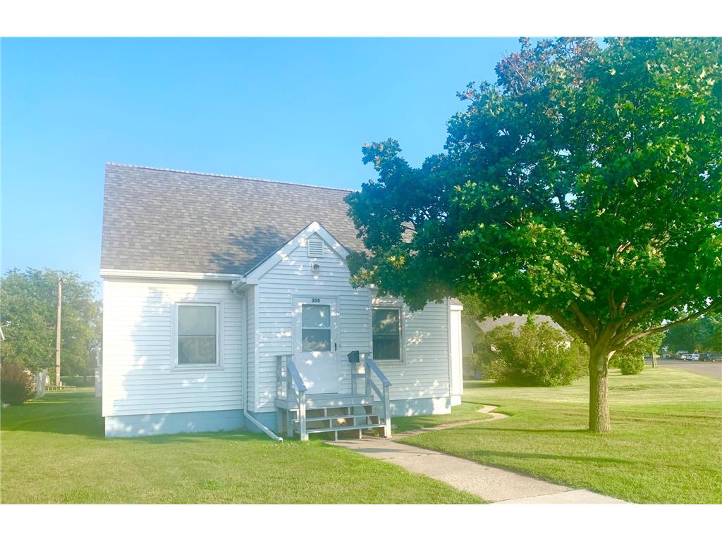 309 Ring Avenue S Canby MN 56220 6399717 image1