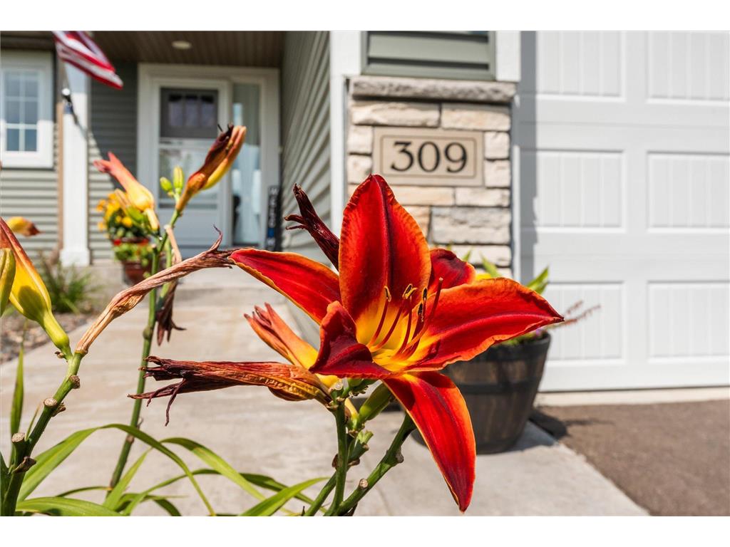 309 Walnut Lane Somerset WI 54025 6797971 image4