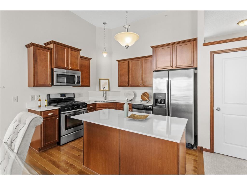 3091 Wilderness Path Woodbury MN 55129 7015695 image5