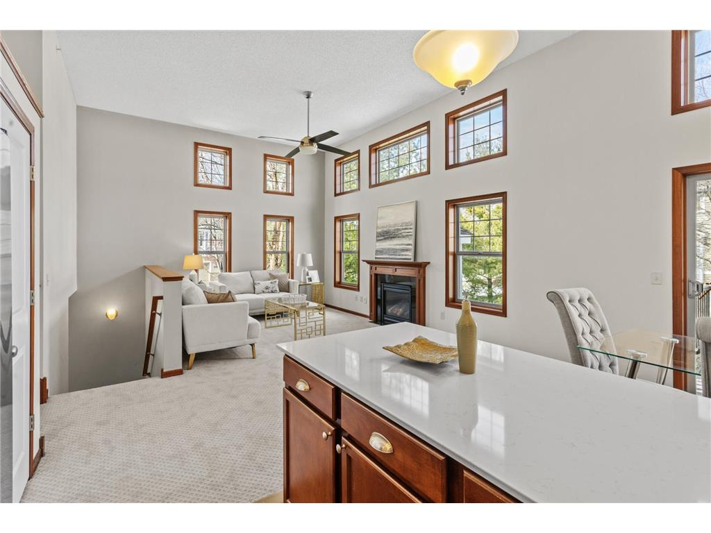 3091 Wilderness Path Woodbury MN 55129 7015695 image7