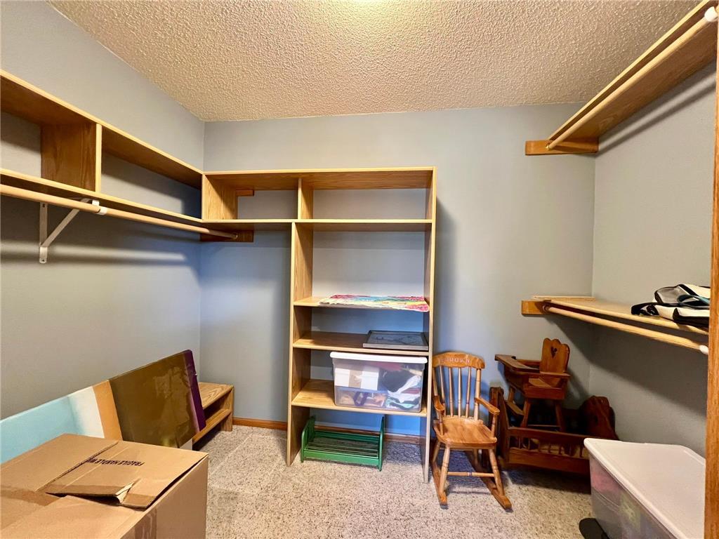 30915 Hay Creek Hills Drive Red Wing MN 55066 7036780 image51