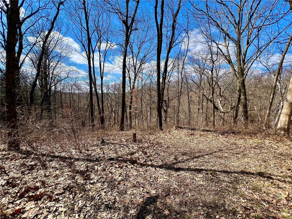 30915 Hay Creek Hills Drive Red Wing MN 55066 7036780 image78