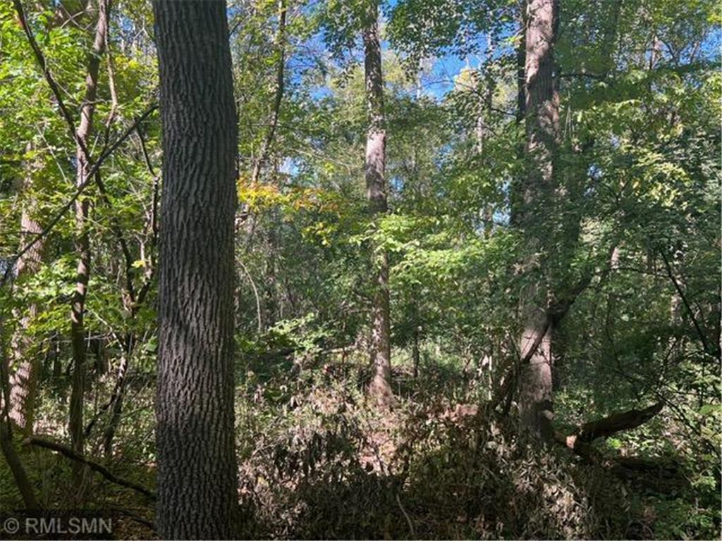 30931 Virgo Street NE North Branch MN 55056 6609549 image1