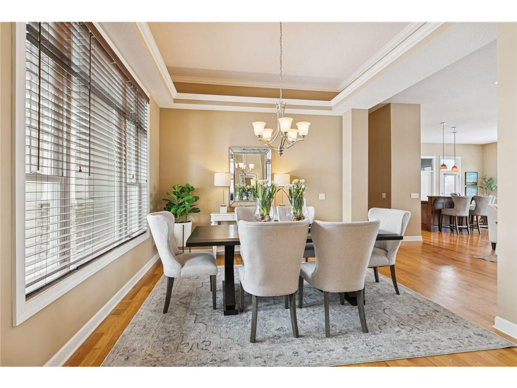 3094 Aspen Lake Drive NE Blaine MN 55449 7023410 image6