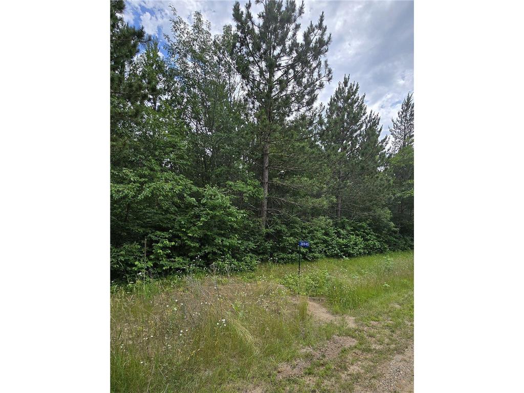 30945 Vahalla Lane Cass Lake MN 56633 6562651 image2