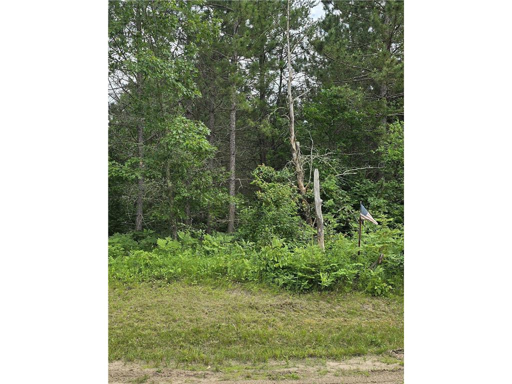 30945 Vahalla Lane Cass Lake MN 56633 6562651 image5