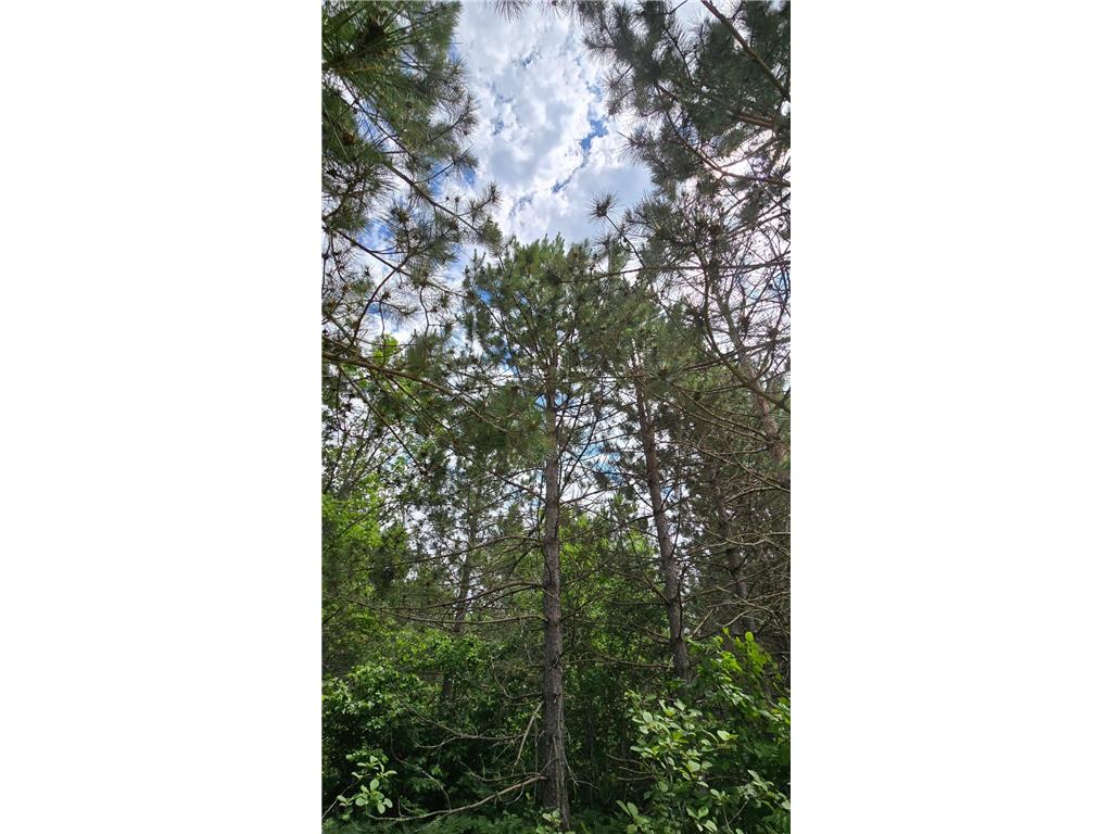 30945 Vahalla Lane Cass Lake MN 56633 6562651 image6