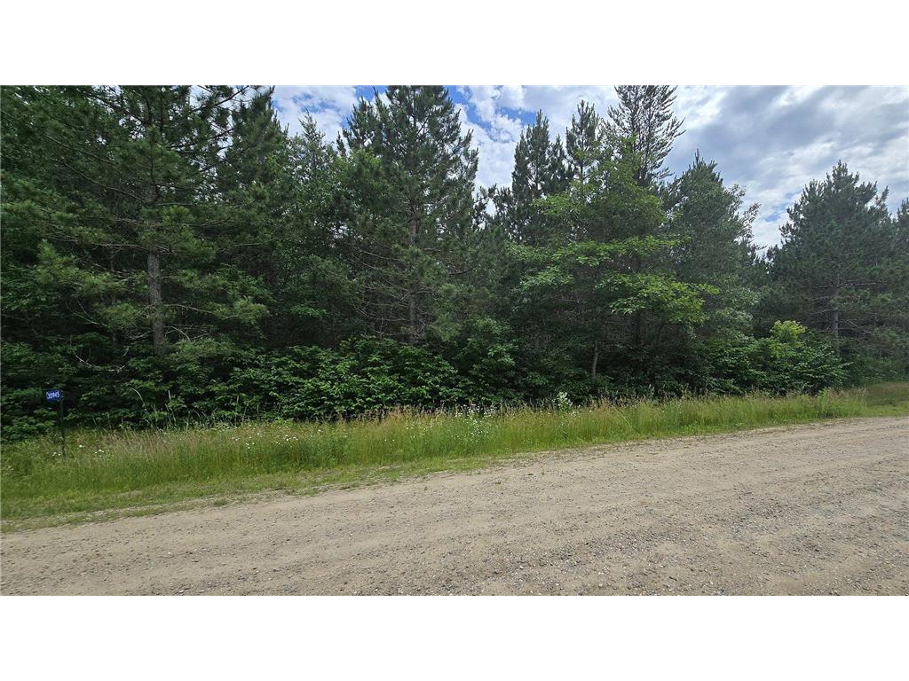 30945 Vahalla Lane Cass Lake MN 56633 6562651 image7