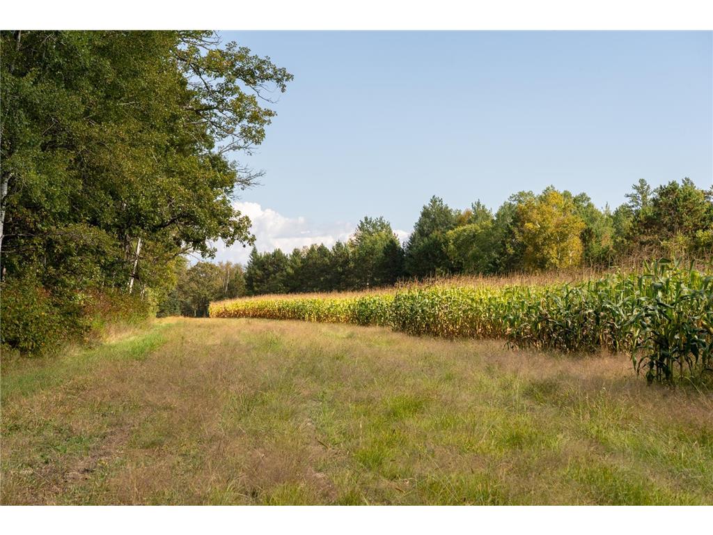 30968 State 200 Laporte MN 56461 6794731 image32