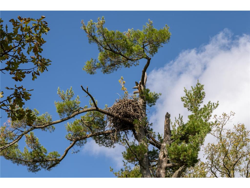 30968 State 200 Laporte MN 56461 6794731 image37