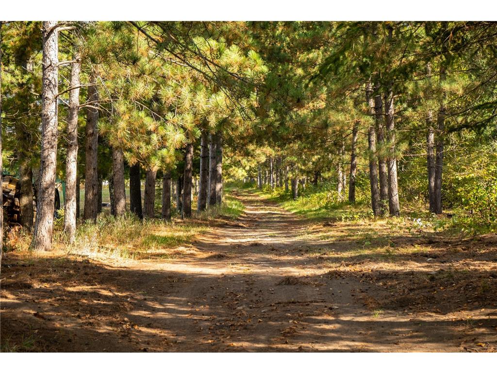 30968 State 200 Laporte MN 56461 6794731 image67