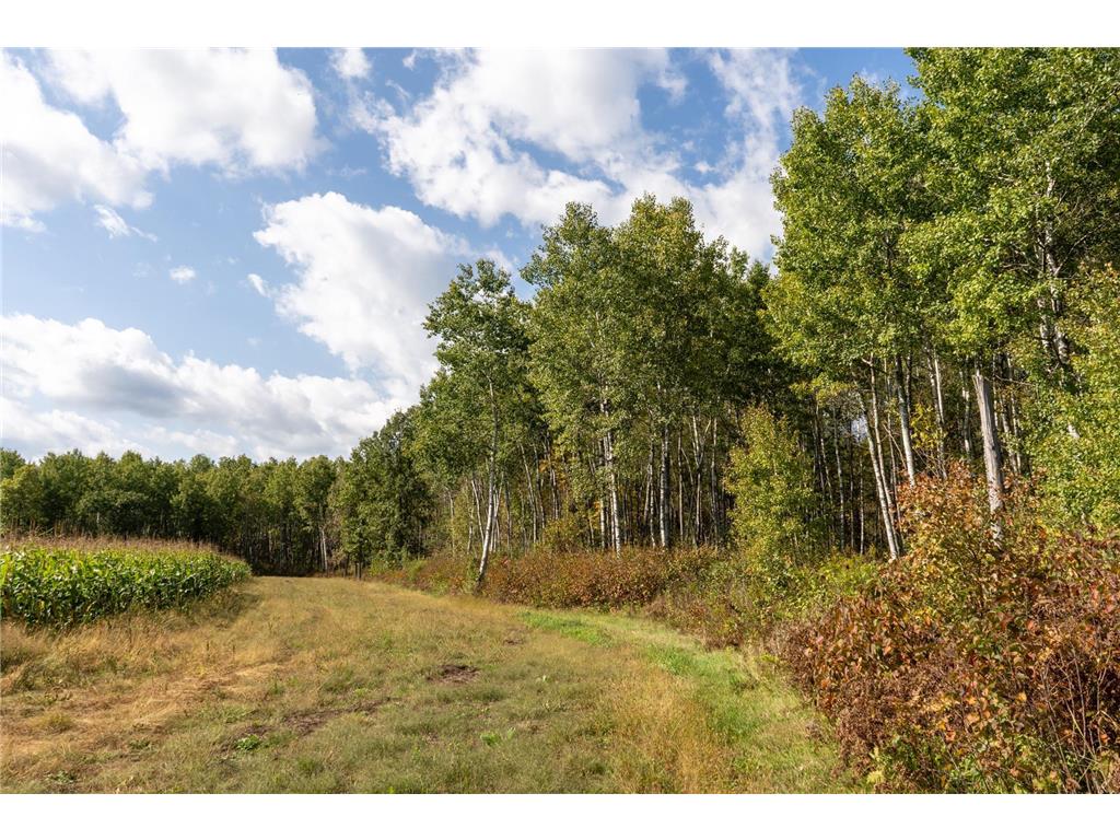 30968 State 200 Laporte MN 56461 6794731 image69