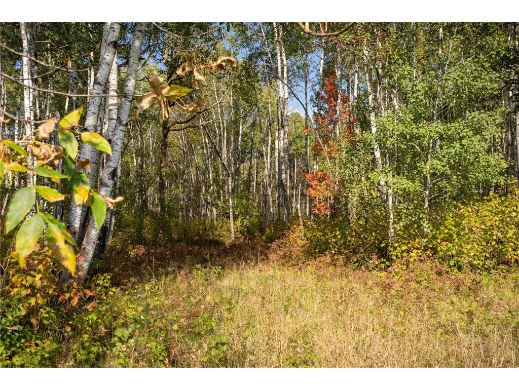 30968 State 200 Laporte MN 56461 6794731 image72