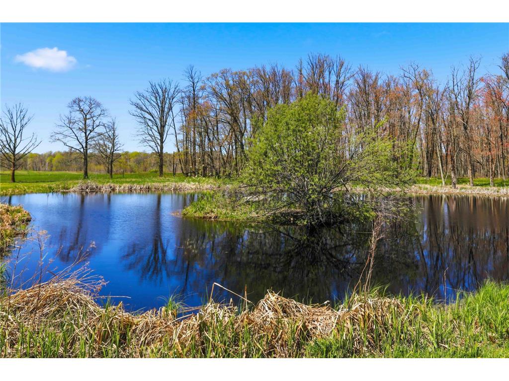 3097 Ivory Street #2 Hillman Twp MN 56342 7075587 image32