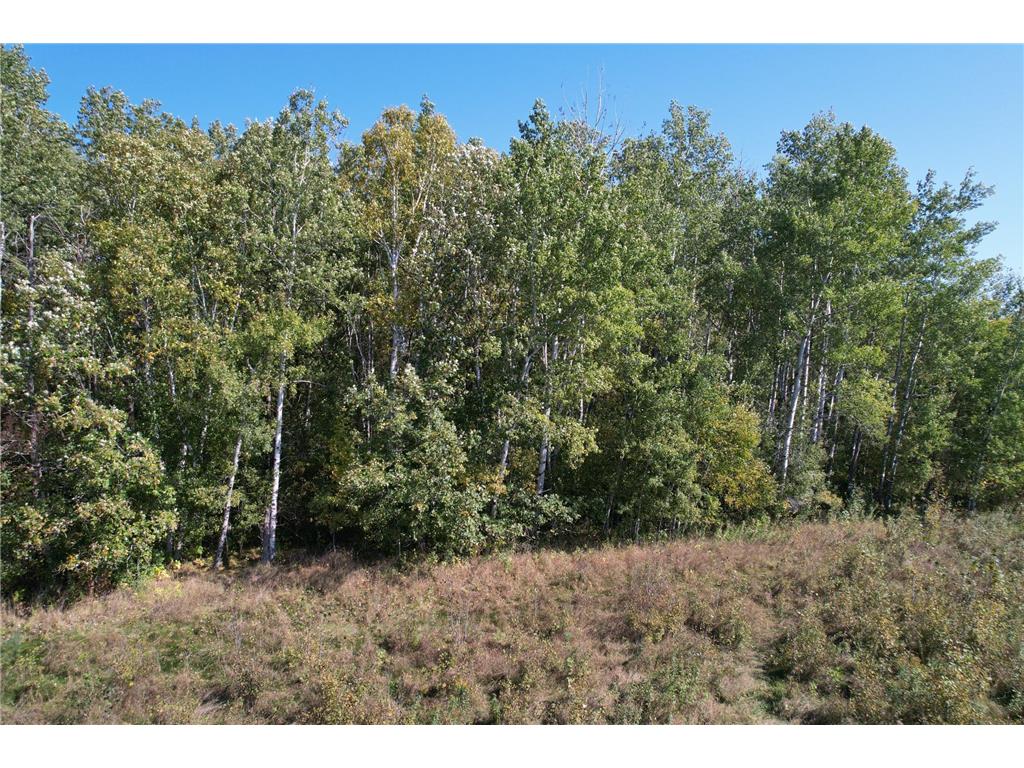 30XXX 480th Street Palisade MN 56469 6795128 image21