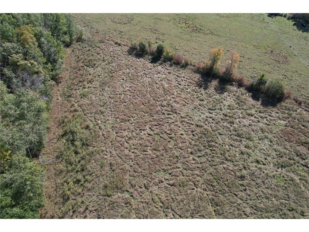 30XXX 480th Street Palisade MN 56469 6795128 image9