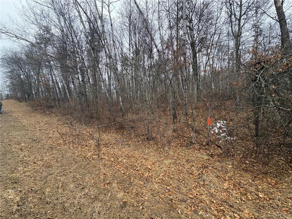30XXX Rainier Drive Breezy Point MN 56472 7045938 image4
