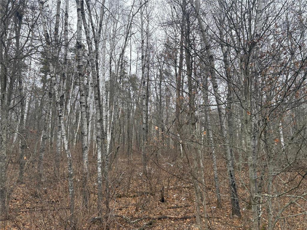 30XXX Rainier Drive Breezy Point MN 56472 7045938 image6