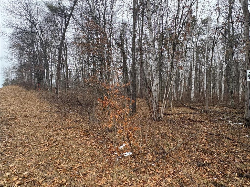 30XXX Rainier Drive Breezy Point MN 56472 7045938 image7