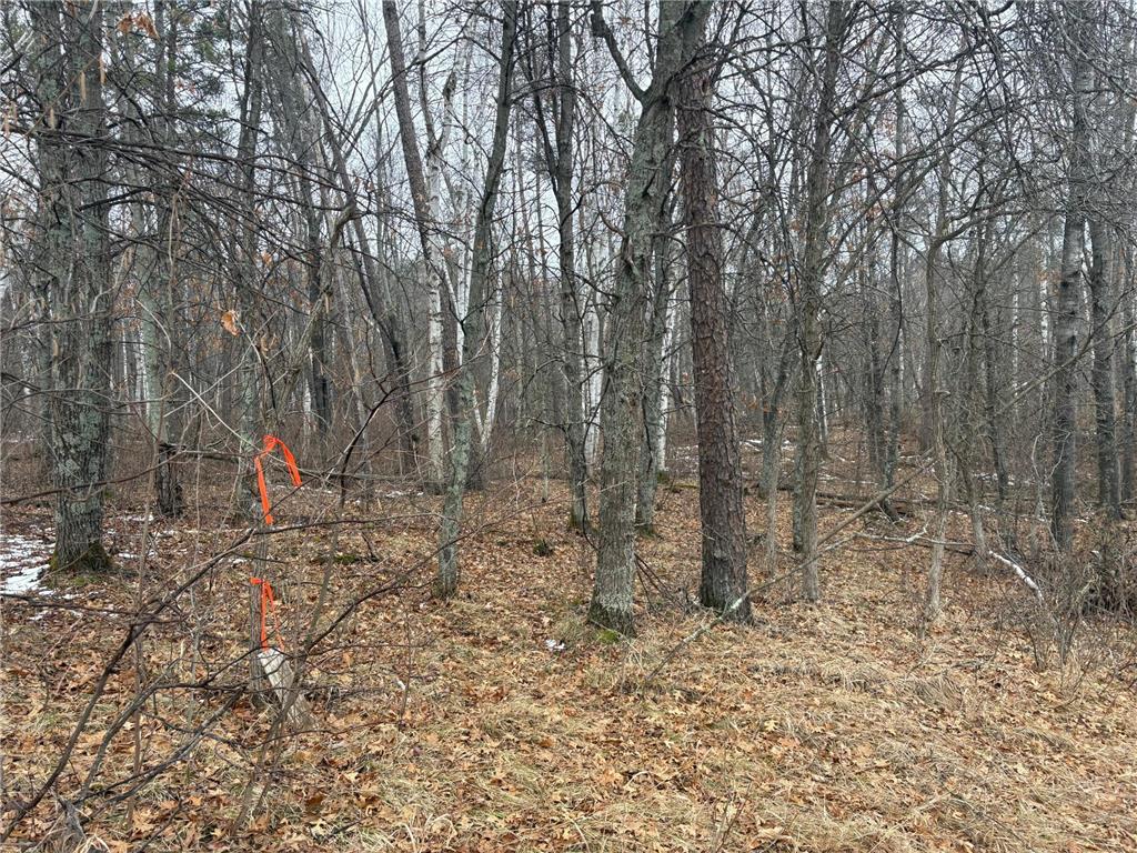 30XXX Rainier Drive Breezy Point MN 56472 7045938 image8