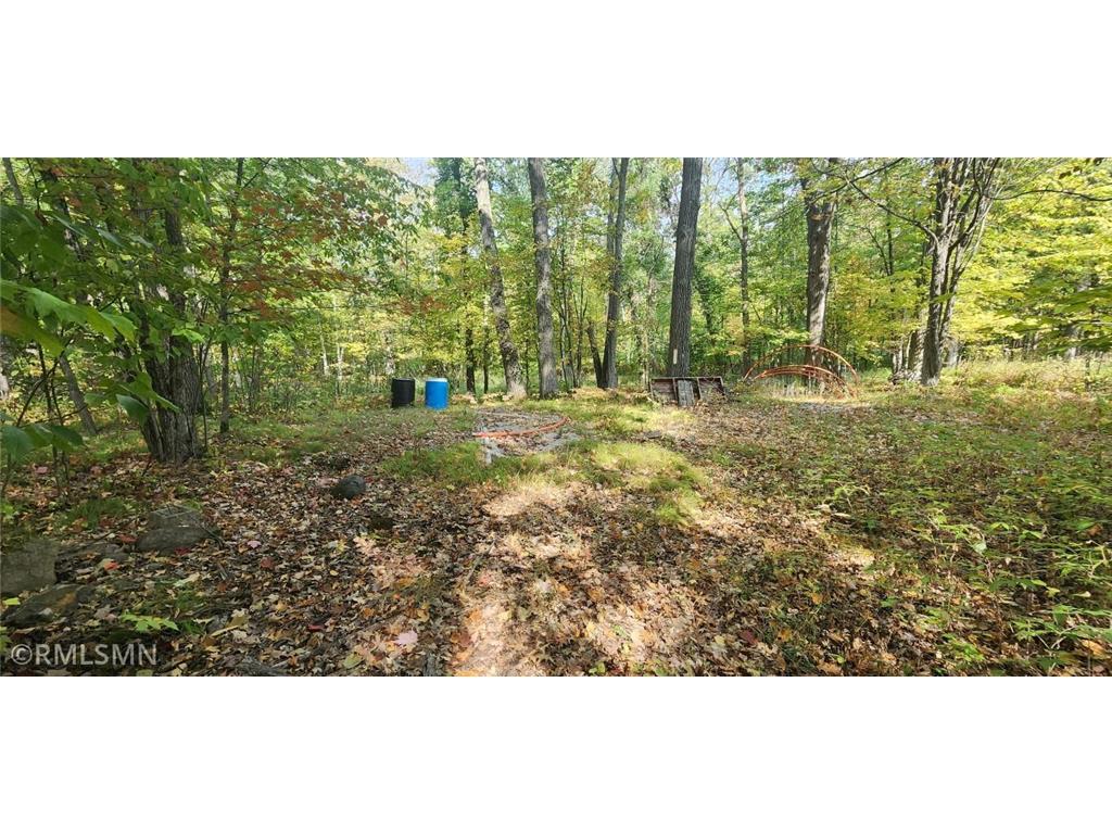 30xx Birchview Drive Isle MN 56342 6432465 image1