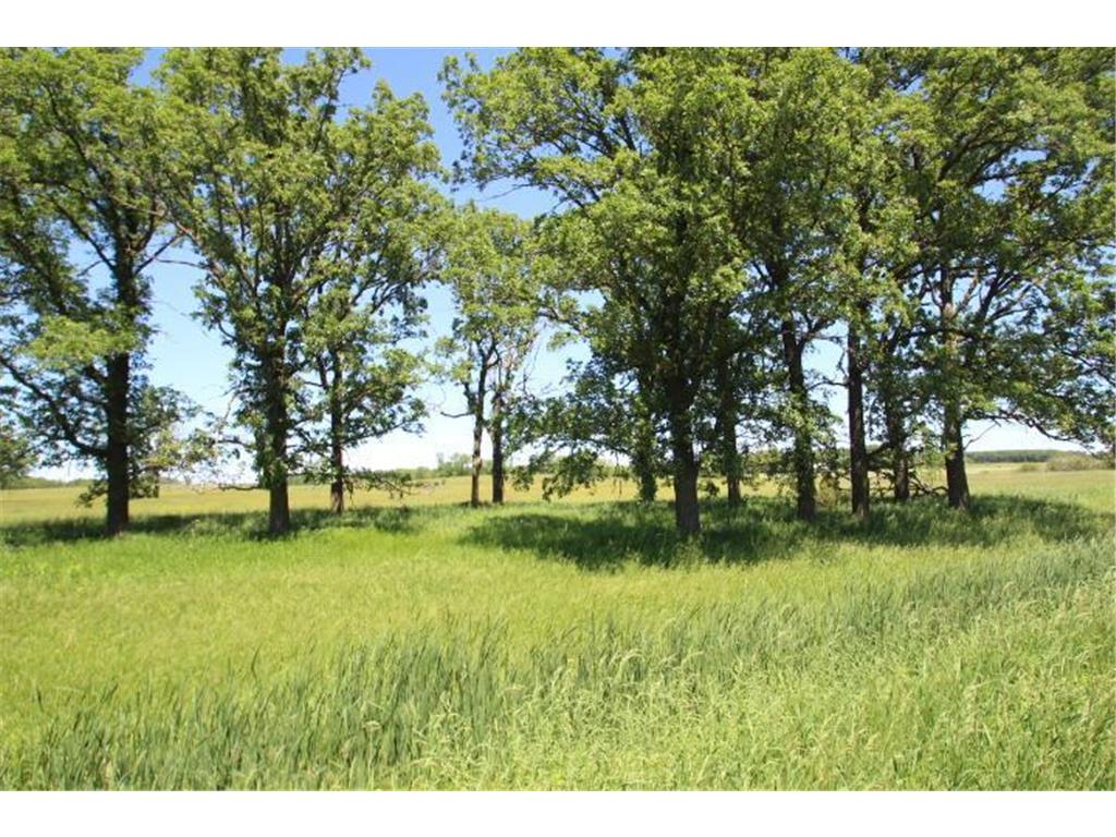 30xxx 93rd Street, Pierz, MN 56364 MLS 6223330 Edina Realty