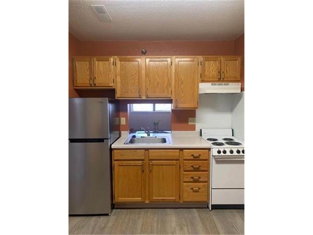 31 Chestnut Street E #2 Trimont MN 56176 7028520 image3