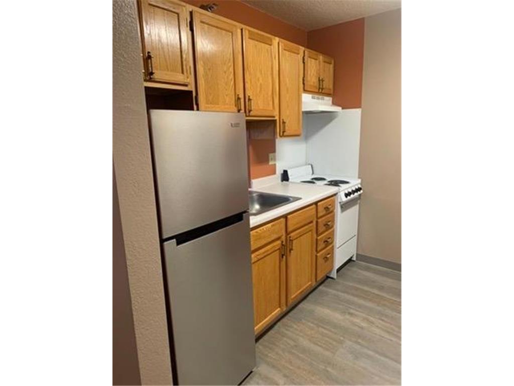 31 Chestnut Street E #2 Trimont MN 56176 7028520 image4