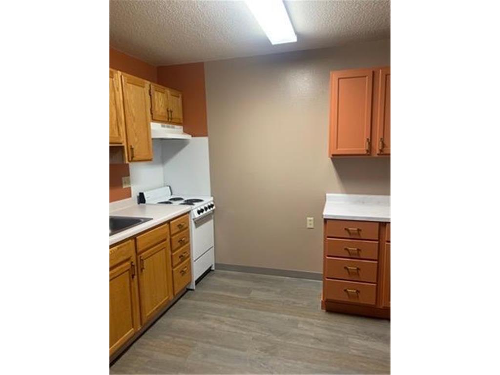 31 Chestnut Street E #2 Trimont MN 56176 7028520 image5