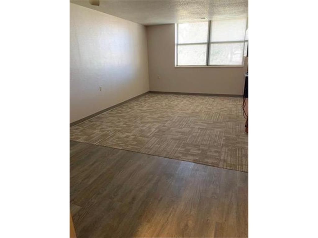 31 Chestnut Street E #3 Trimont MN 56176 7029283 image11