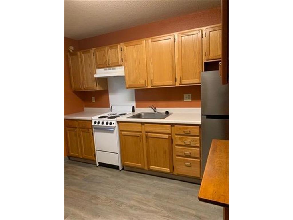 31 Chestnut Street E #3 Trimont MN 56176 7029283 image3