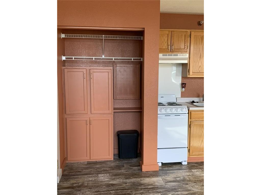 31 Chestnut Street E #4 Trimont MN 56176 7033813 image6