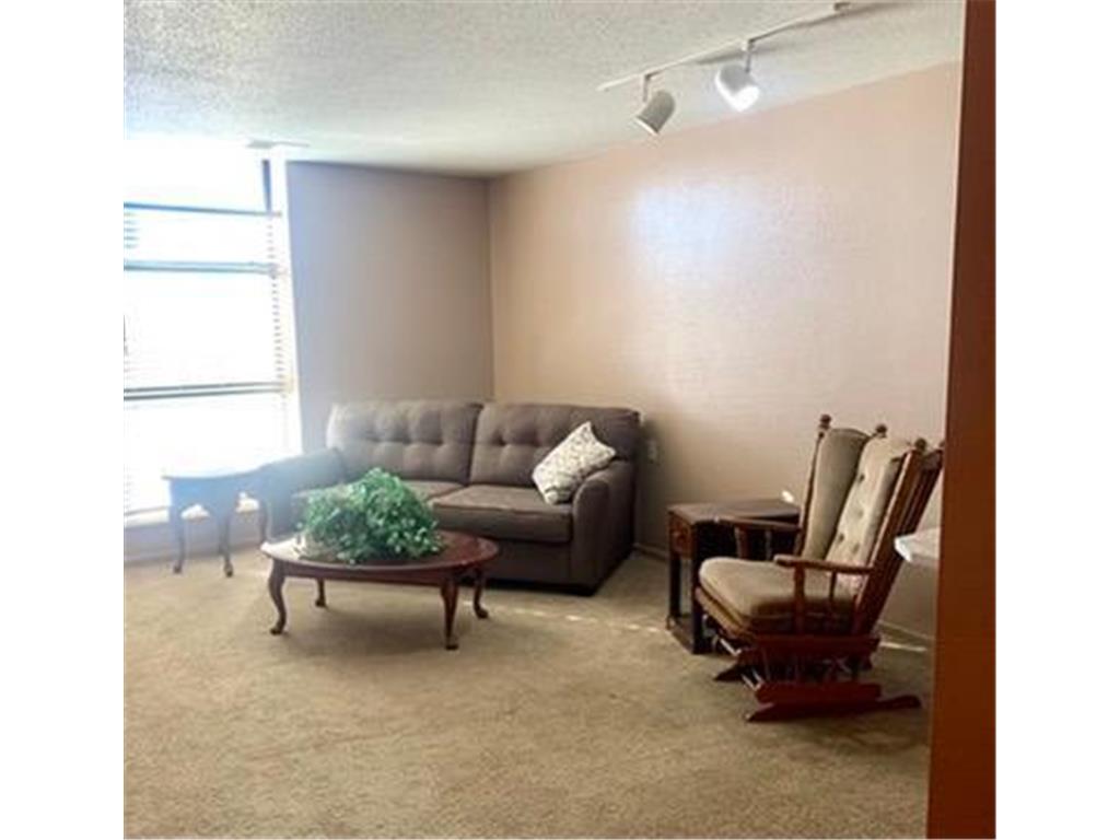 31 Chestnut Street E #5 Trimont MN 56176 7029296 image12