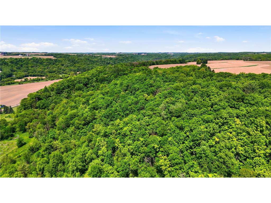31 acres Cty Rd. S Plum City WI 54761 7081603 image2