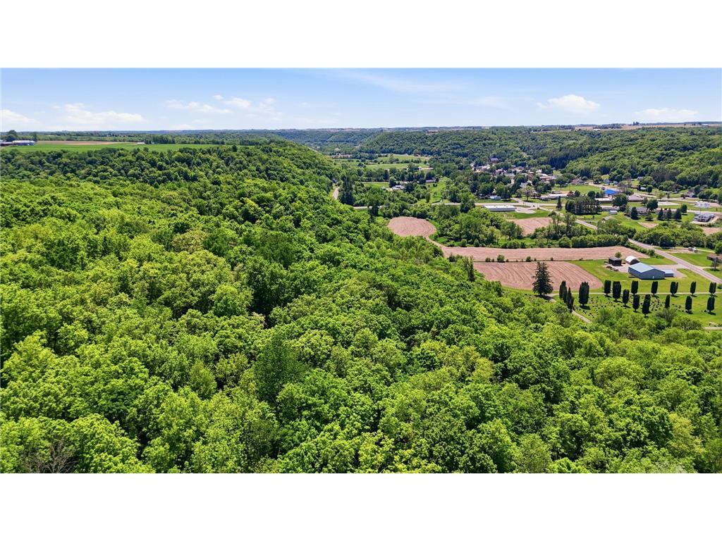 31 acres Cty Rd. S Plum City WI 54761 7081603 image6