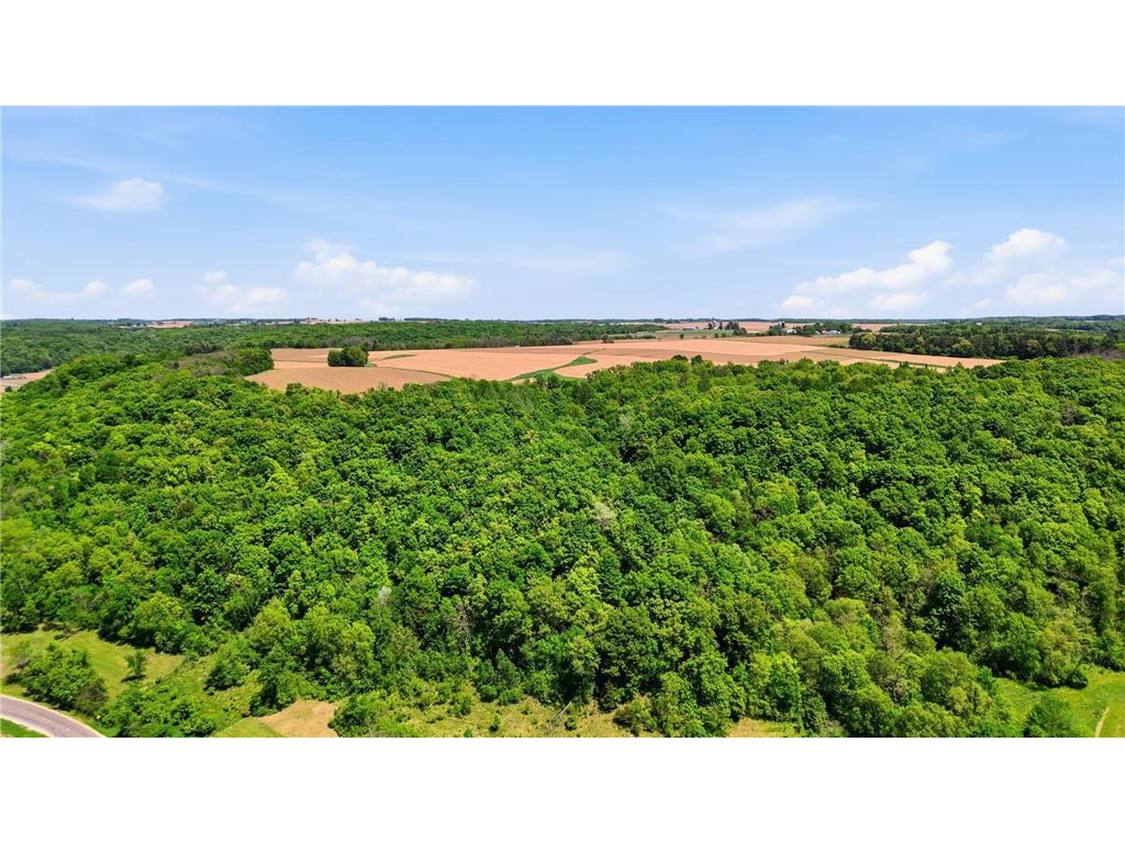 31 acres Cty Rd. S Plum City WI 54761 7081603 image7