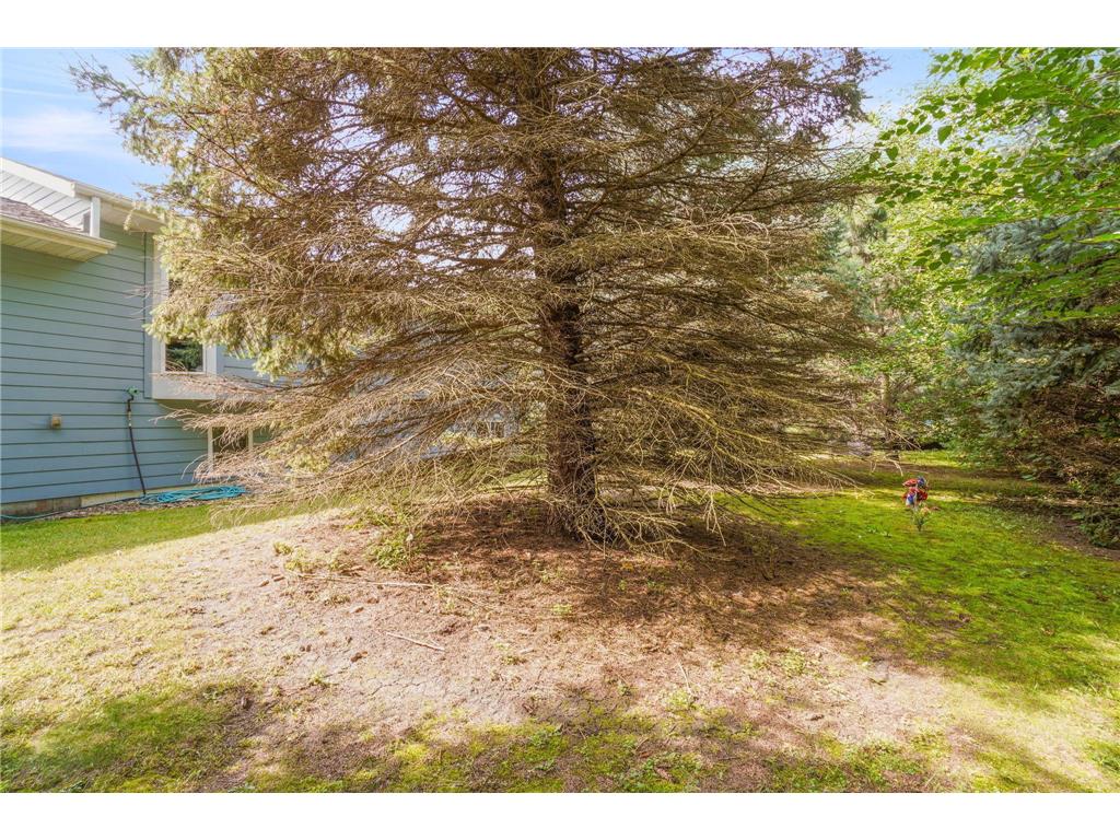 310 D Scholten Drive Steen MN 56173 7025447 image19