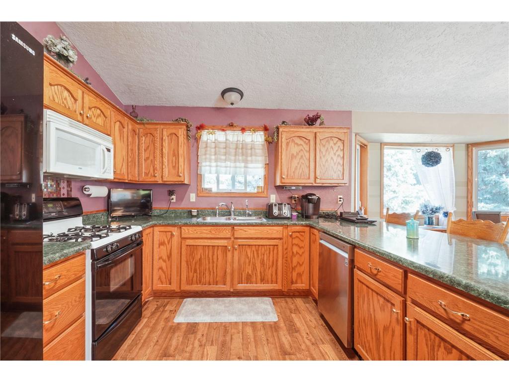 310 D Scholten Drive Steen MN 56173 7025447 image26