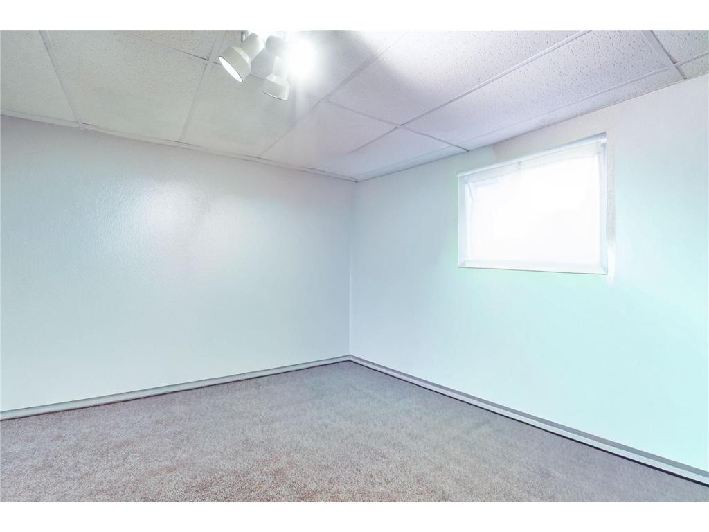 310 D Scholten Drive Steen MN 56173 7025447 image37