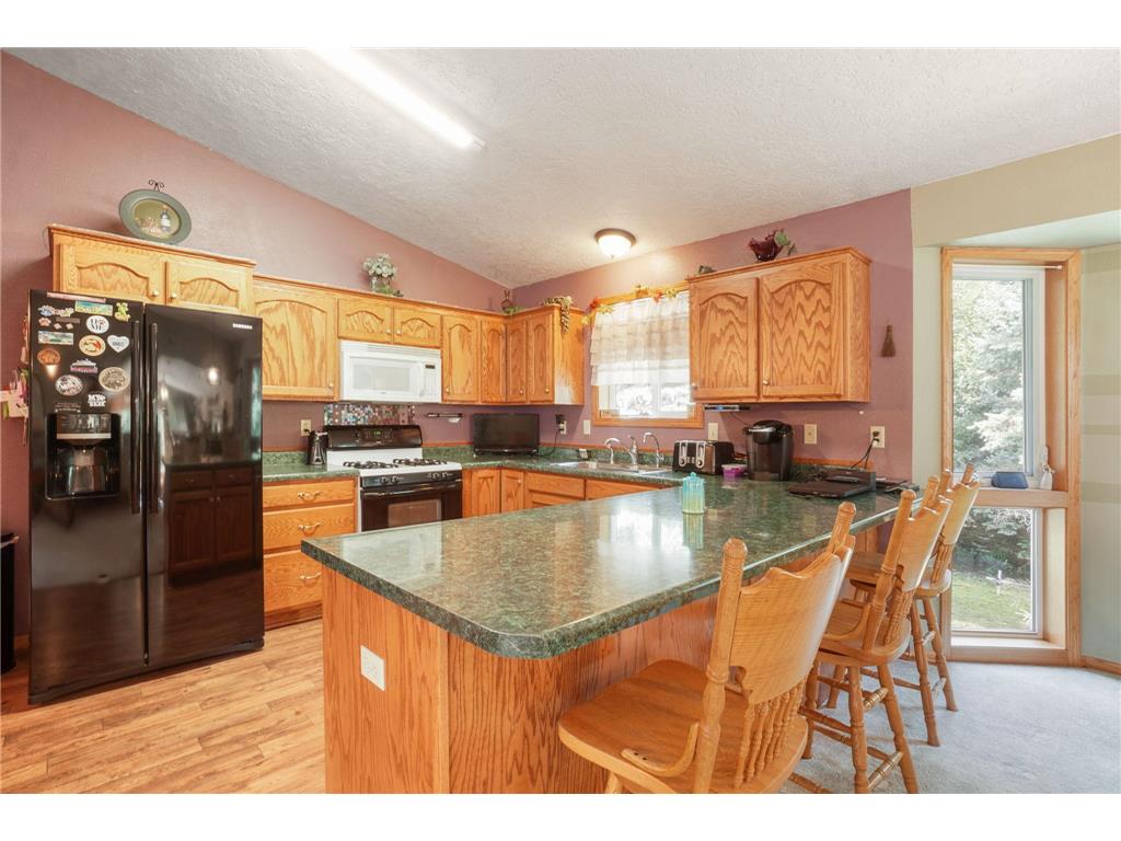 310 D Scholten Drive Steen MN 56173 7025447 image41