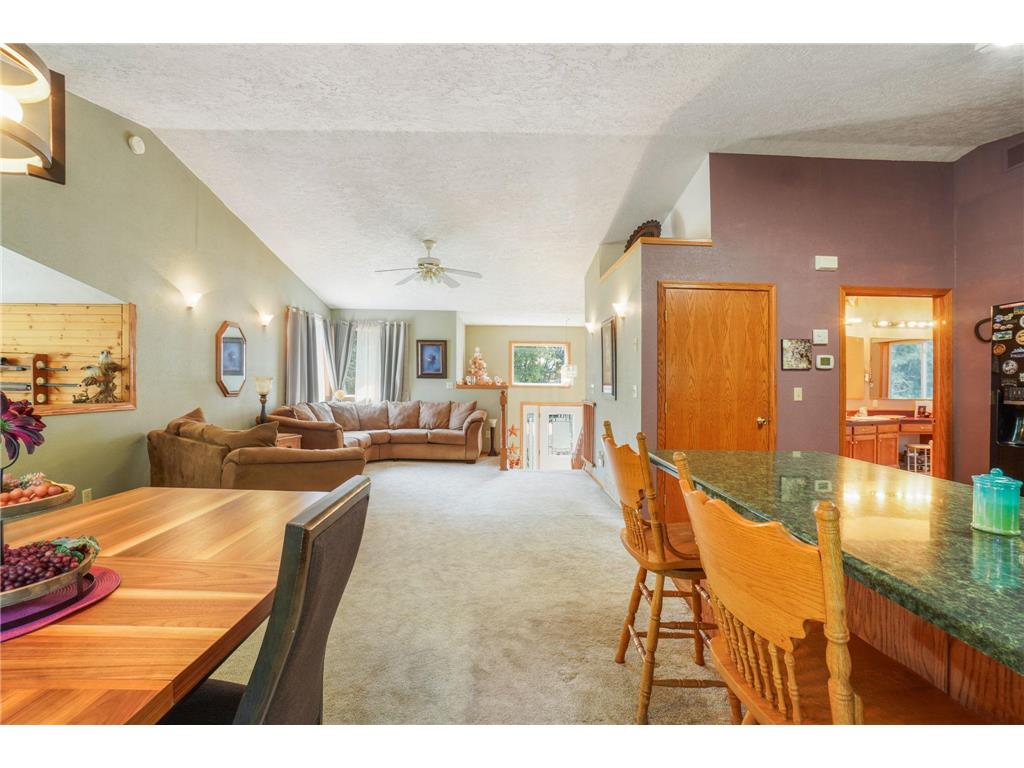 310 D Scholten Drive Steen MN 56173 7025447 image42